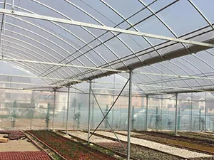 Greenhouse Pipe